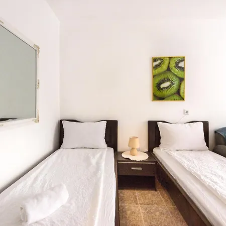 Kiwi * Велико-Тырново