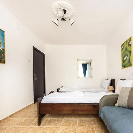 Kiwi * Велико-Тырново