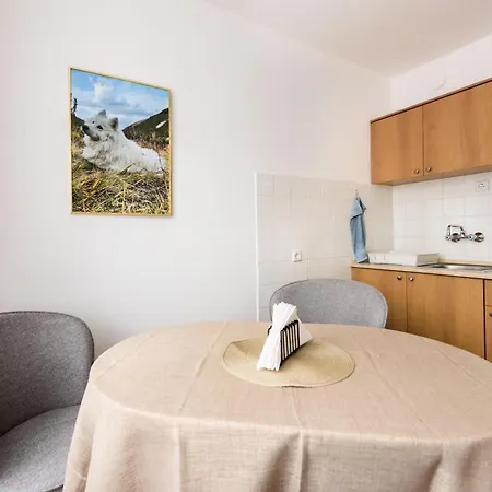 Kiwi * Велико-Тырново