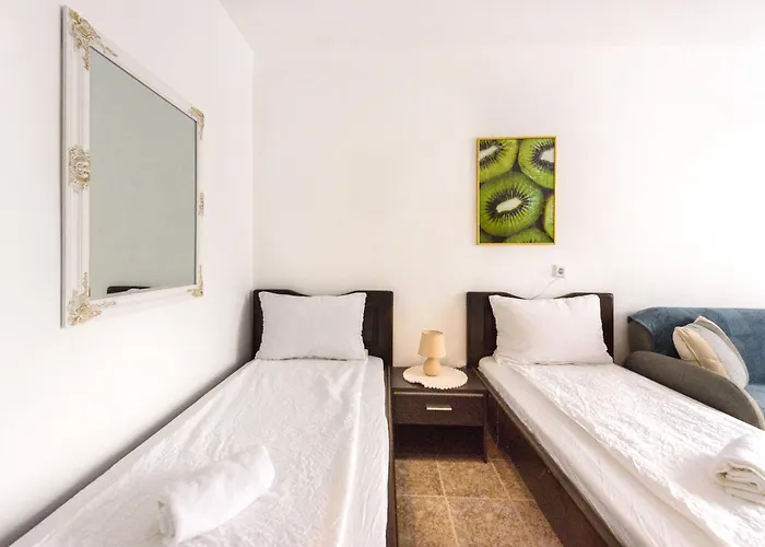 Kiwi * Велико-Тырново