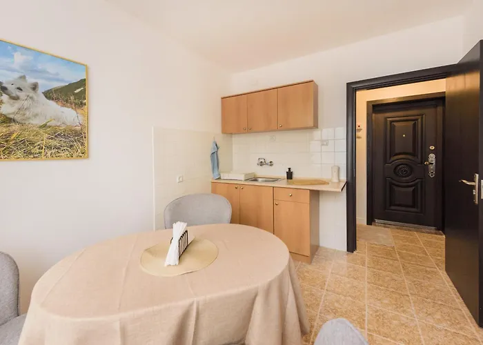 Kiwi * Велико-Тырново